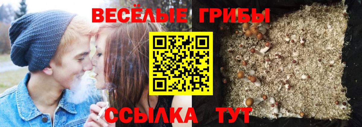 Галлюциногенные грибы MAGIC MUSHROOMS Алатырь