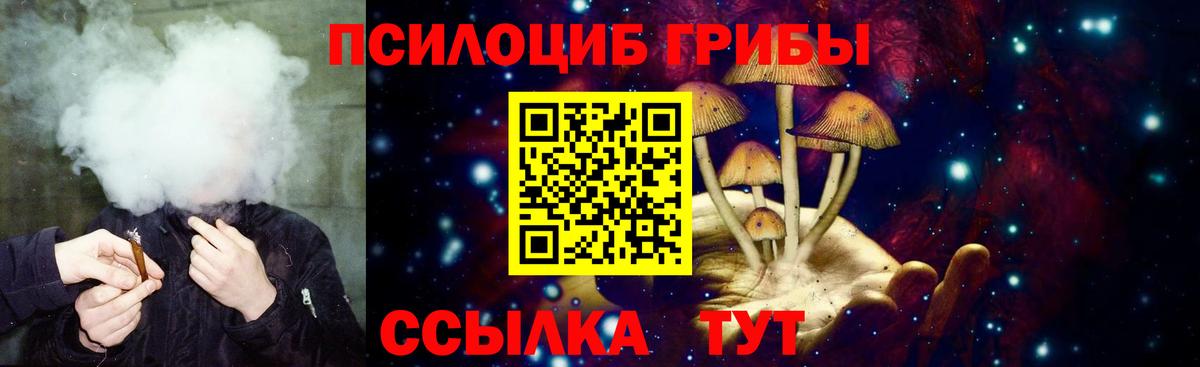 Алатырь  Галлюциногенные грибы GOLDEN TEACHER  Вход с VPN  Галлюциногенные грибы мицелий 