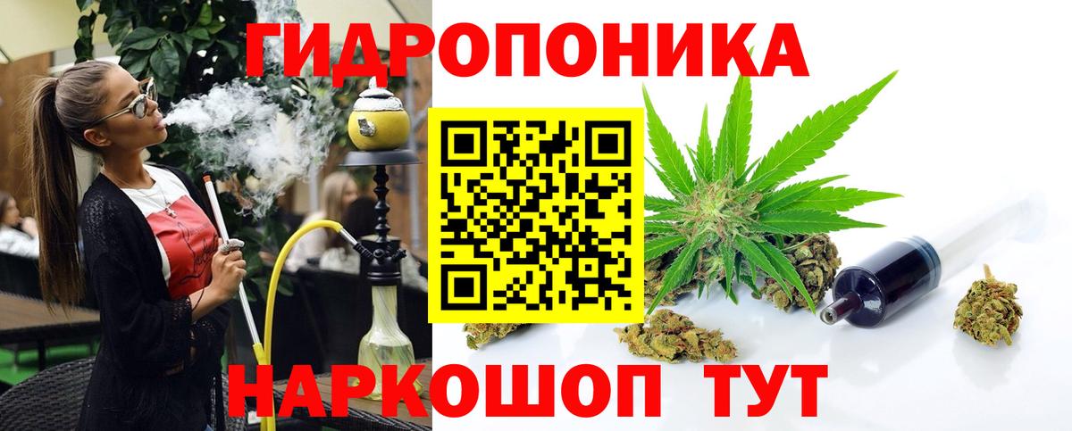 Конопля марихуана Алатырь